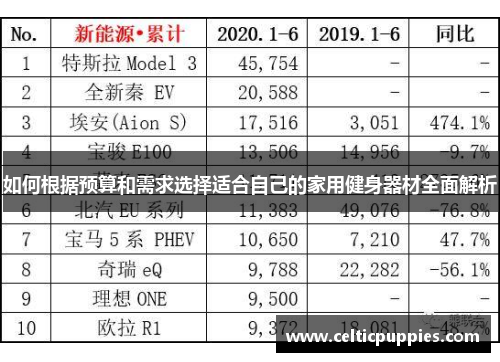 如何根据预算和需求选择适合自己的家用健身器材全面解析
