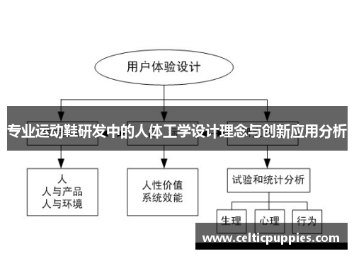 专业运动鞋研发中的人体工学设计理念与创新应用分析