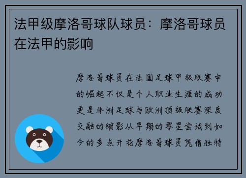 法甲级摩洛哥球队球员：摩洛哥球员在法甲的影响