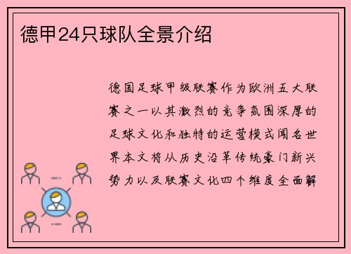 德甲24只球队全景介绍