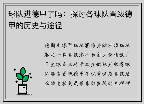 球队进德甲了吗：探讨各球队晋级德甲的历史与途径