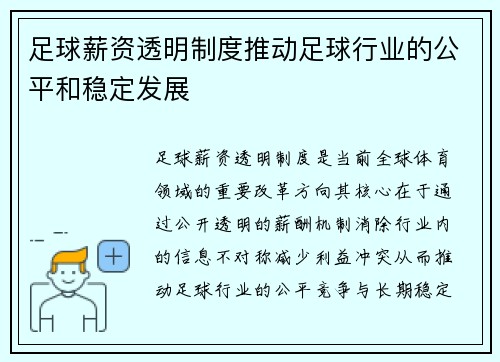足球薪资透明制度推动足球行业的公平和稳定发展